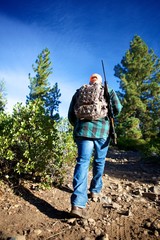 Wall Mural - Hiking in the Woods