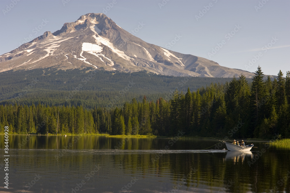 Mount Hood Trillium lake - obrazy, fototapety, plakaty 