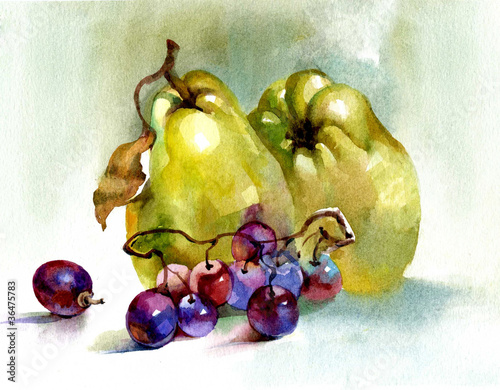 Obraz w ramie Watercolor Flora Collection: Quince and Grape