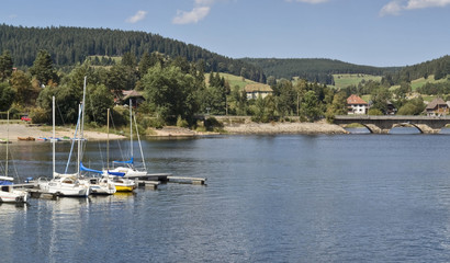 Wall Mural - Schluchsee in sunny ambiance