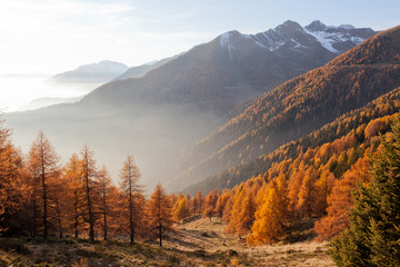 vallata alpina in autunno