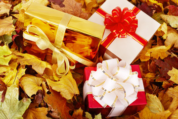 Wall Mural - Autumn still life with group gift box.