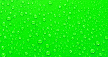 Beautiful Green Water Drops Background