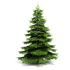 3d christmas tree ready to decorate - on white background