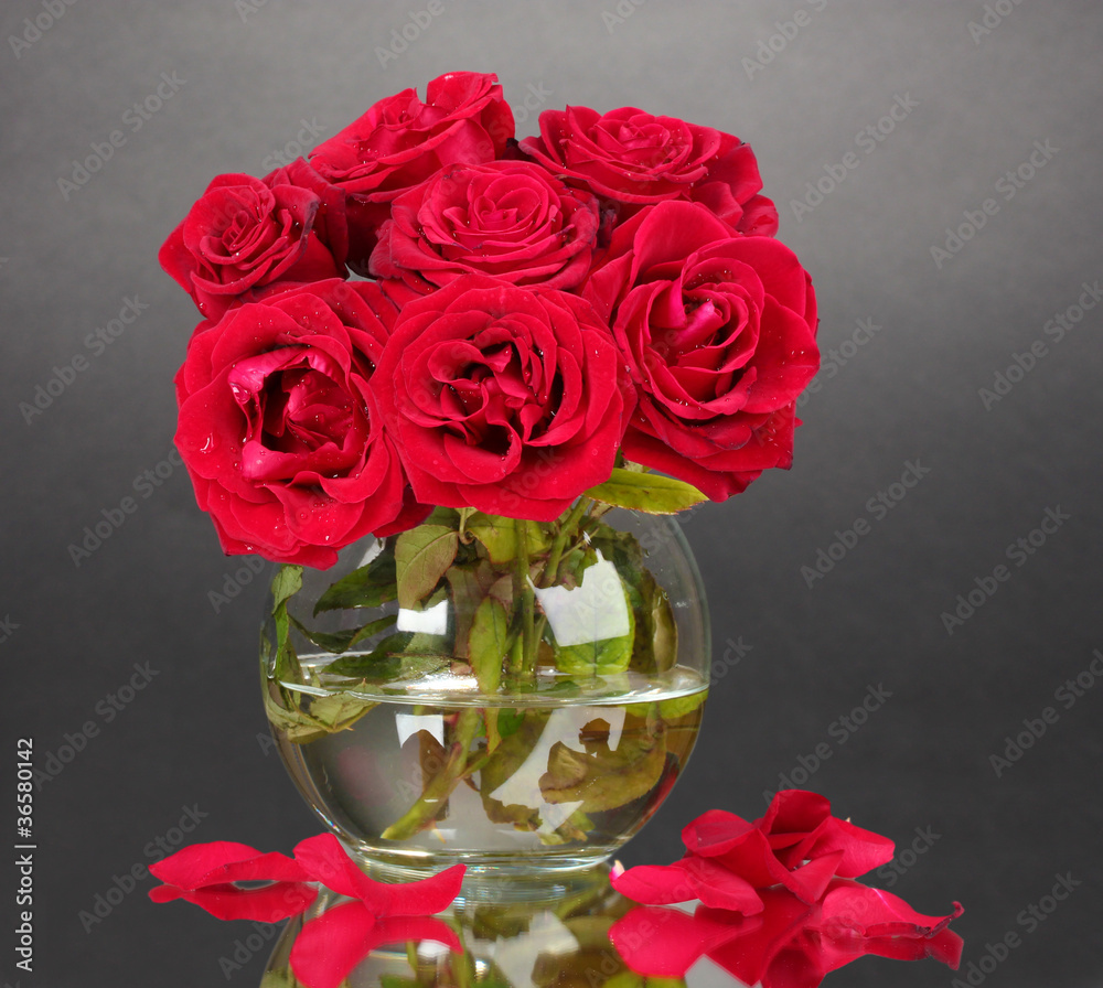 Beautiful red roses in vase on gray background