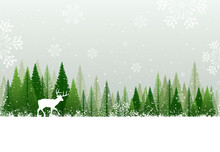 Snowy Winter Forest Background