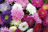 chrysanthemen