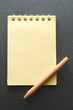 © Sergey Yarochkin - Notepad with pencil on the grey background