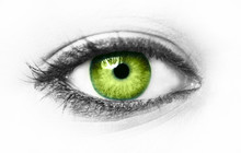Green Eye Isolated