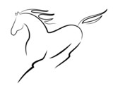 beautiful horse