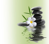 Fototapeta Desenie - frangipani and stones on a white background