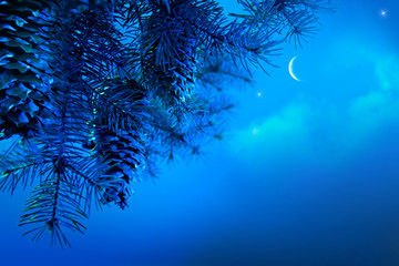 art christmas tree branch on a blue night sky background