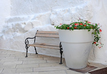 Giant White Flowerpot With Red Geraniums, Italy
