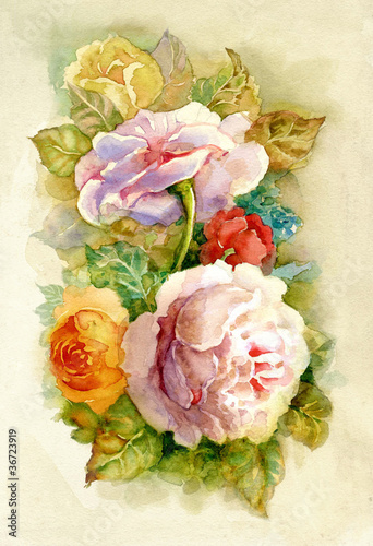 Fototapeta na wymiar Watercolor Flower Collection: Roses
