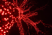 Trunk And Sloppy Branches Of Tree With Many Decorative Red Light