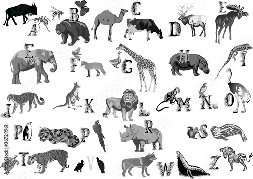 grey animals alphabet Stock Vector | Adobe Stock