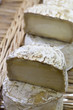 traditional cow milk cheese tommes