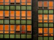 Modern Glass Architecture - Green and Orange