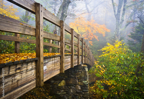 Fotografía Autumn Appalachian Trail Foggy Nature Blue Ridge Fall Foliage