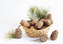 Still Life Cedar Cones In A Decorative Basket