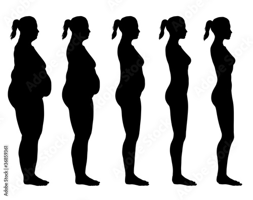 Fotografie, Obraz Obese to Skinny Female Silhouette Side View