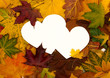 © Olga Kovalenko - Autumn leaves background with empty greeting card for text