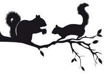 Squirrels On Tree Branch, Vector