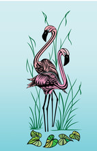 Two Pink Flamingo In Love