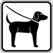 Hund anleinen Leinenpflicht Leinenzwang Schild Zeichen Symbol