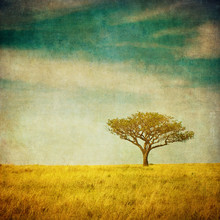 Grunge Image Of A Tree Over Grunge Background