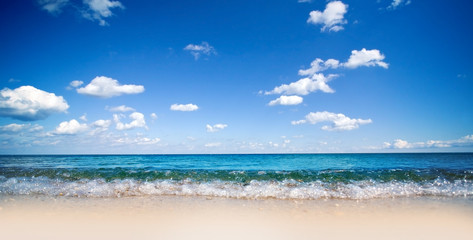 Wall Mural - sea shore