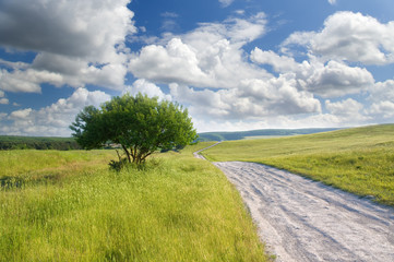 Poster - Road on green meadow to sunset.