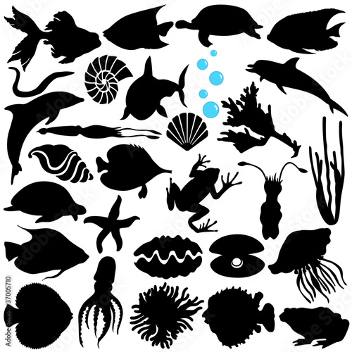 Nowoczesny obraz na płótnie A Vector Silhouette of Fish, Sealife, (Marine life, seafood)