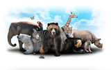 Fototapeta Zwierzęta - Zoo Animal Friends