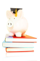 Wall Mural - piggy bank on book pile - student debt concept