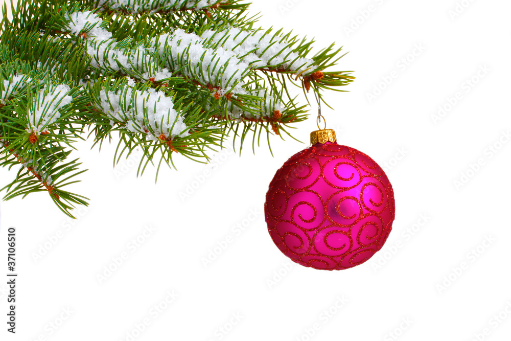 Christmas ball on the tree isolated on white