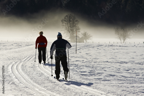 Dekoracja na wymiar  narciarstwo-biegowe-w-alpach