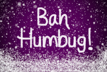 Bah Humbug Christmas Message On Purple Snow Background