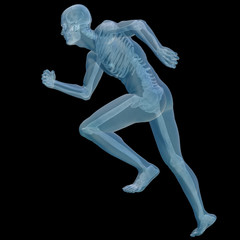 high resolution conceptual 3d human for anatomy