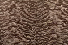 Reptile Leather Texture