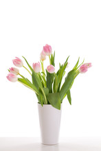 Pink Tulips In A Vase Isolated On White