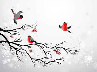 branch and birds bullfinch