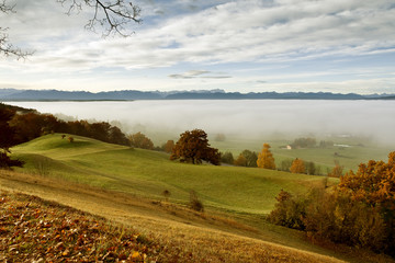 Wall Mural - autumn scenery
