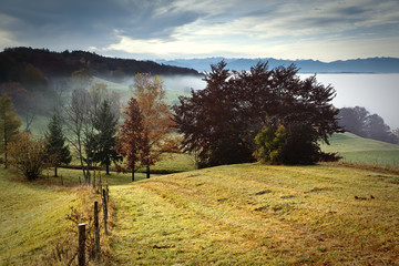 Wall Mural - autumn scenery