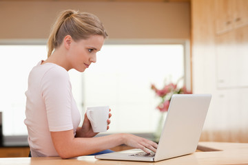 Poster - Woman using a laptop while drinking a cup of a tea