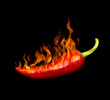 red hot chili pepper by fire on a black background