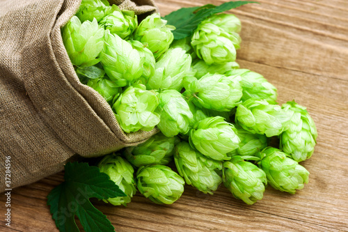 Láminas Hop in a burlap bag on wooden background