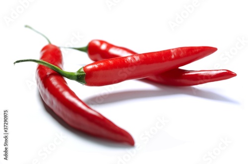 Fotografia  feurige Chili