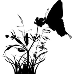 Sticker - butterfly on wild flower silhouette