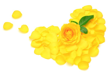 Sticker - yellow rose